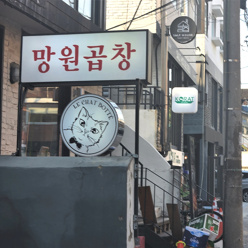 장화신은_고양이_외관