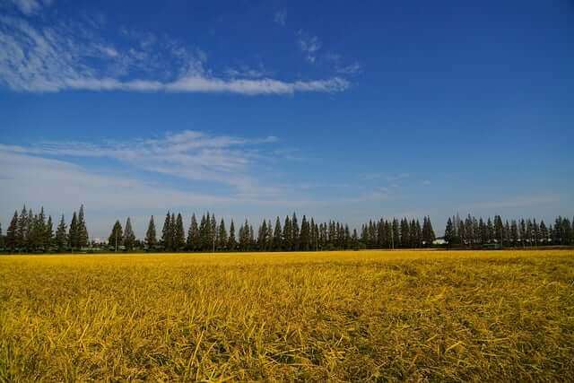 코리아둘레길 지도 신청방법