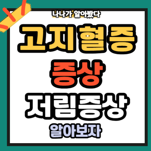 고지혈증 증상 원인 저림증상 예방