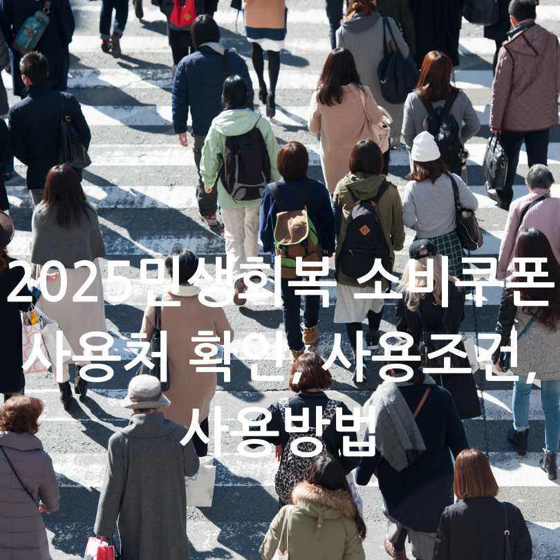 2025 민생회복 소비쿠폰 사용처 제한