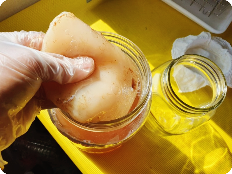 콤부차-만드는-법