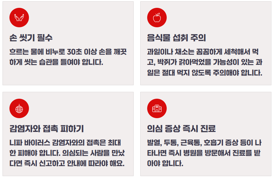 니파 바이러스 증상