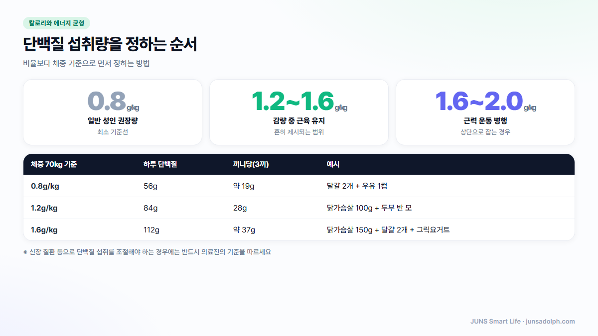 체중당 단백질 섭취량 기준과 계산 예시 도식