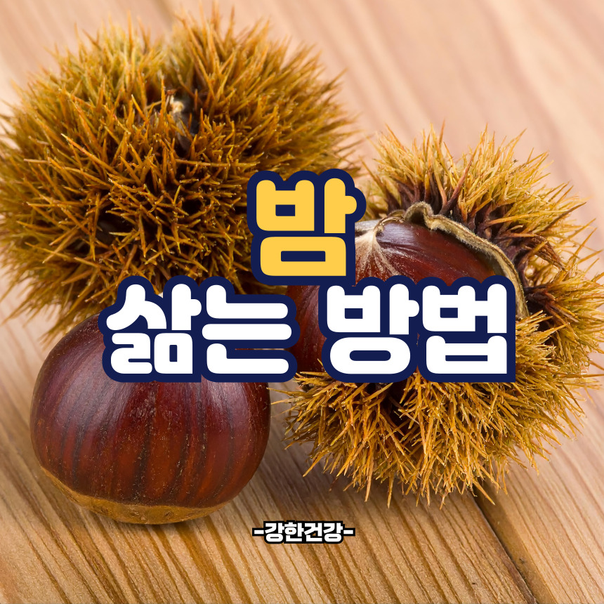 밤 삶는 방법