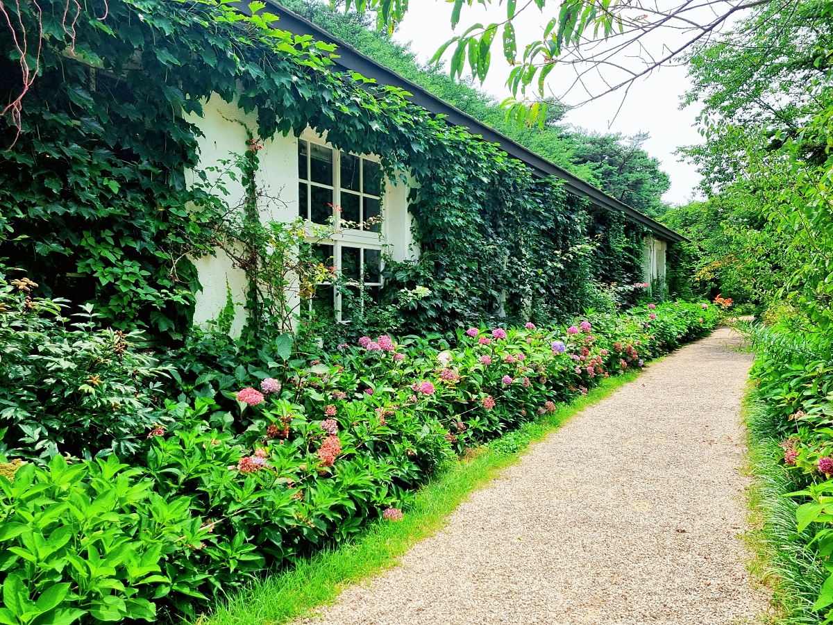 충남 당진 아미미술관: 현대미술&amp;#44; 수국&amp;#44; 야외 조형물&amp;#44; 인스타그램 감성 포토존