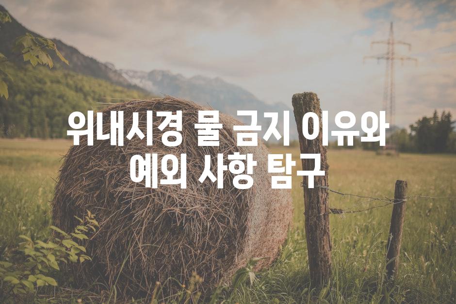 위내시경 물 금지 이유와 예외 사항 탐구