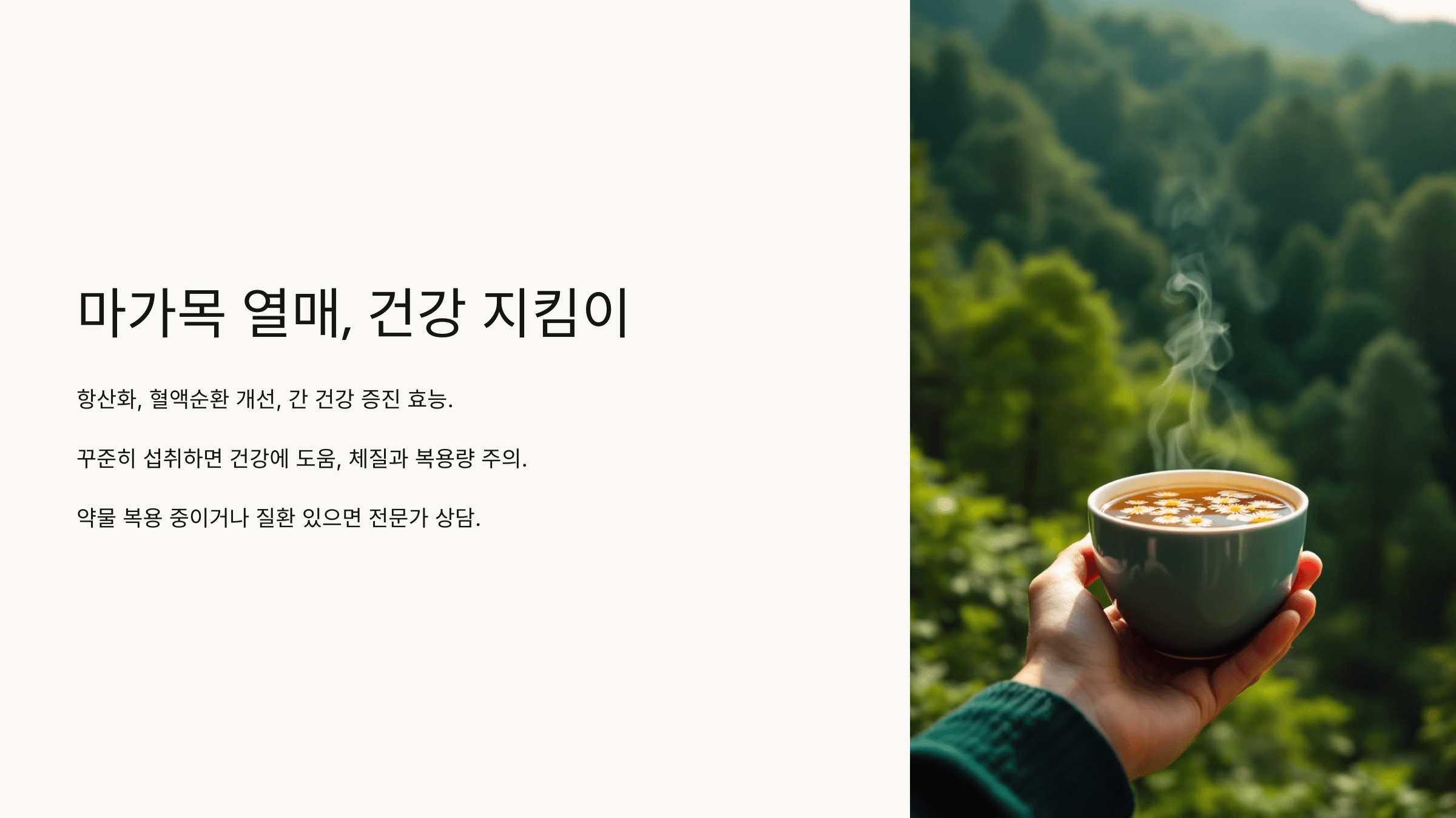 마가목 열매 사진입니다.