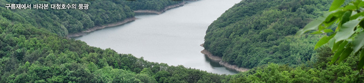 대청호수 전경