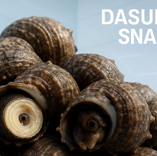 간에 좋은 음식 끝판왕, 다슬기효능의 비밀