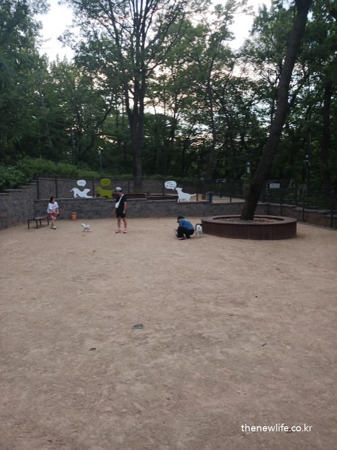Inside the Dog Playground with dogs and owners playing/반려견과 보호자들이 함께 시간을 보내는 놀이터 내부 모습