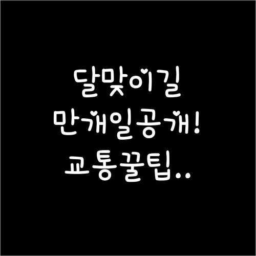 2026 부산 벚꽃 나들이 달맞이길 ..