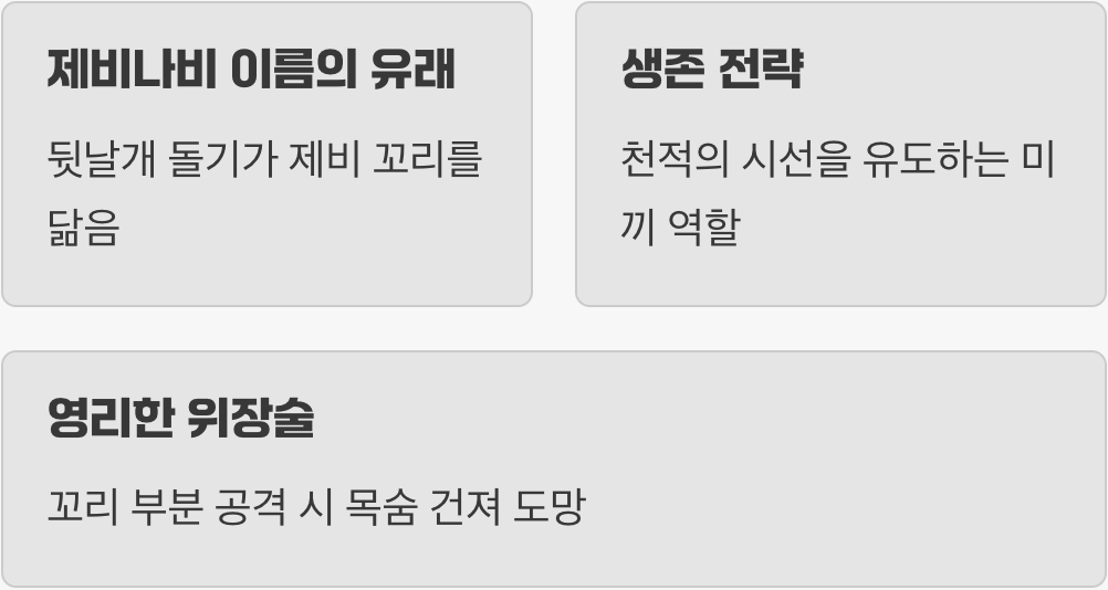 제비의 상징, '꼬리'의 비밀