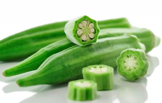 오크라 효능 재배법 손질 수확 요리 보관까지 한눈에 보기_2