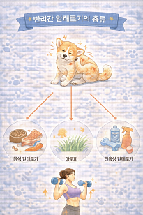 반려견 알레르기 관련 사진