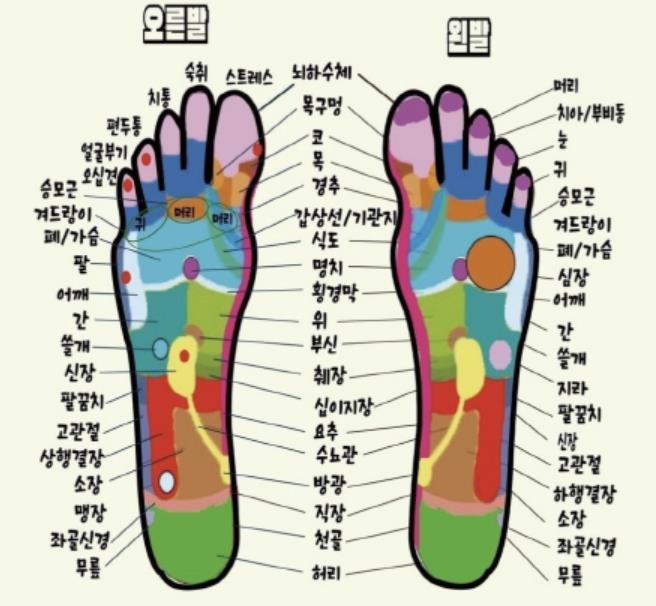 발바닥 혈 자리 이미지