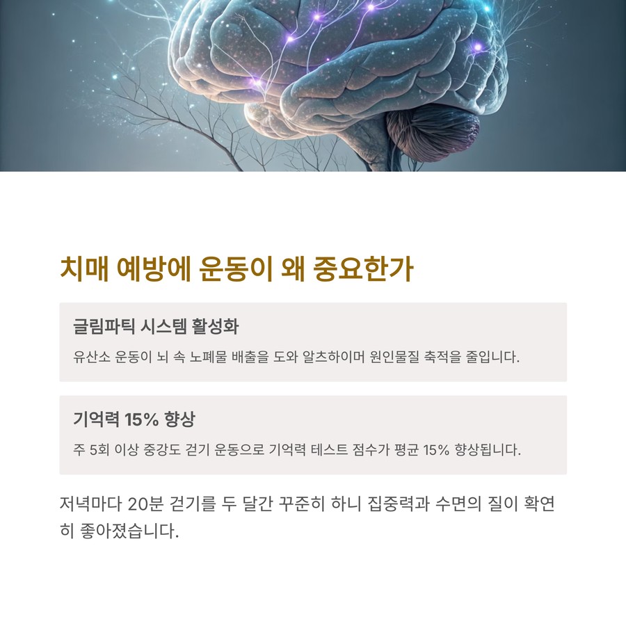 치매 예방을 위한 유산소 운동과 뇌 건강 효과 설명 이미지