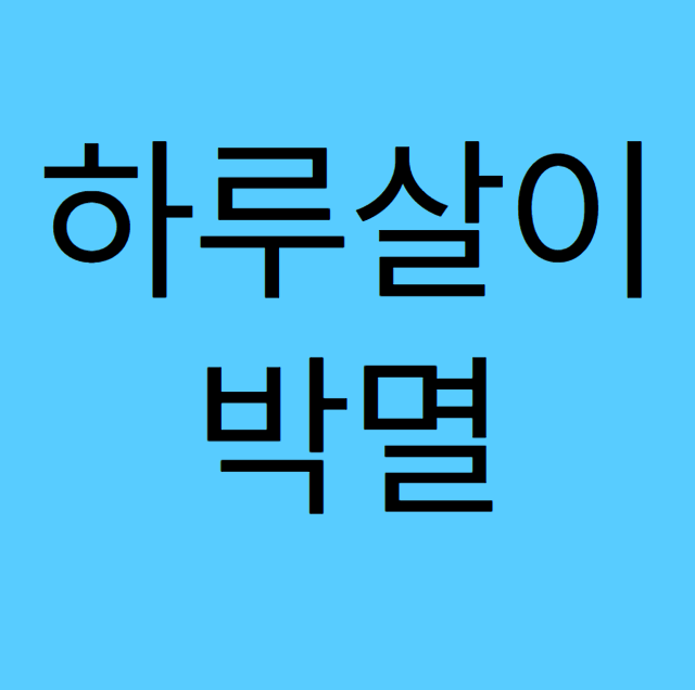 하루 살이 박멸