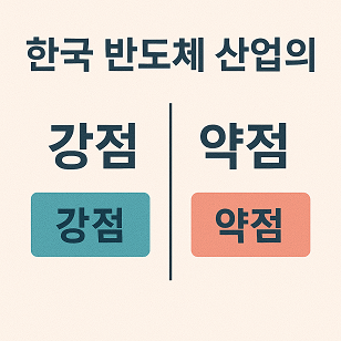 한국 반도체 산업의 강점과 약점 관련 사진