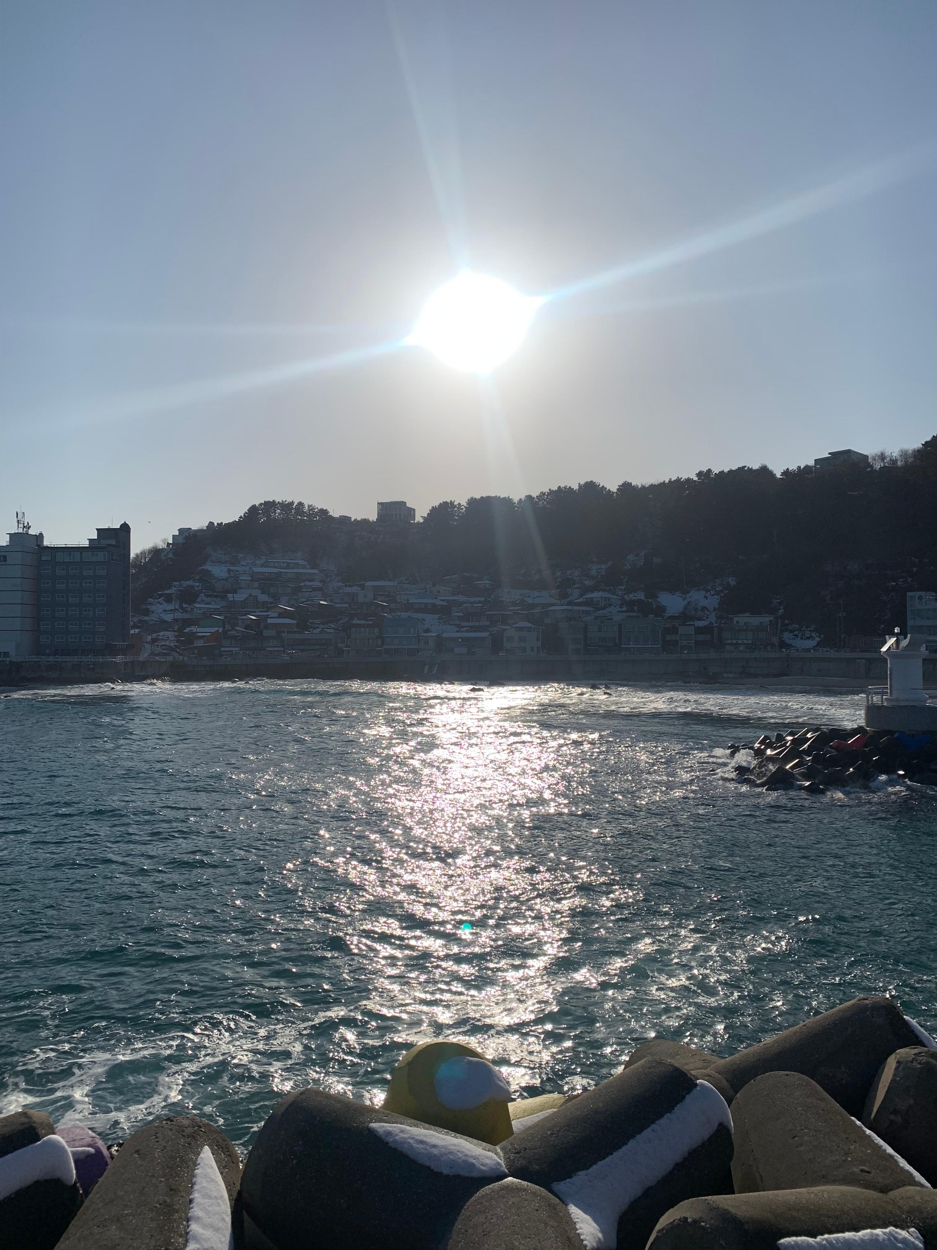 묵호 거북이횟집 곰치국 후기 내돈내산