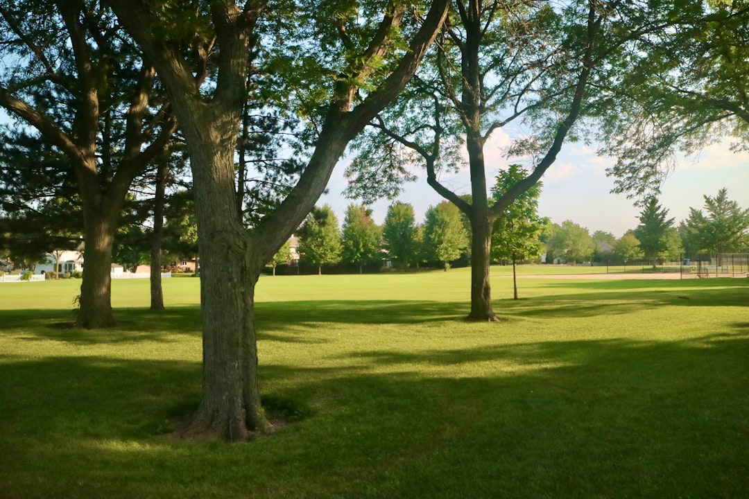 Park Golf