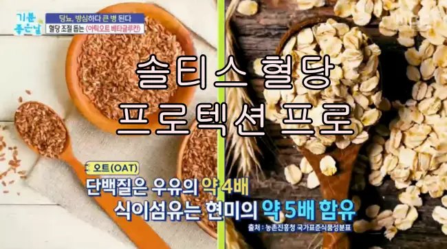 솔티스 혈당 프로텍션 프로