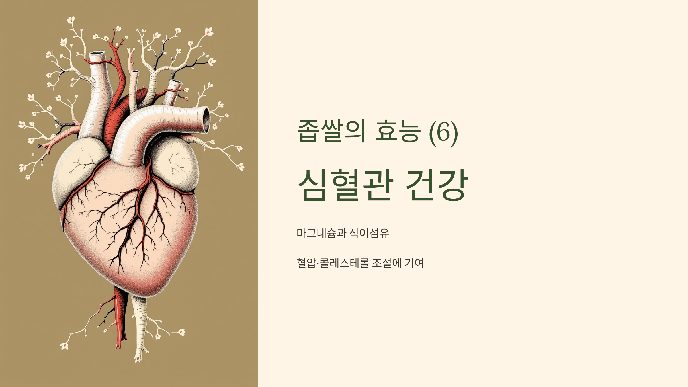 좁쌀 사진입니다.