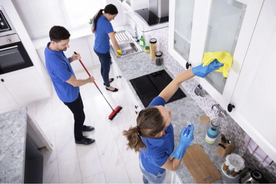 물리적 청소만으로는 부족했던 이유, 세균막(바이오필름) 구조