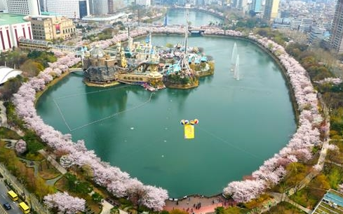 서울 석촌호수 벚꽃축제(MBN 제공)