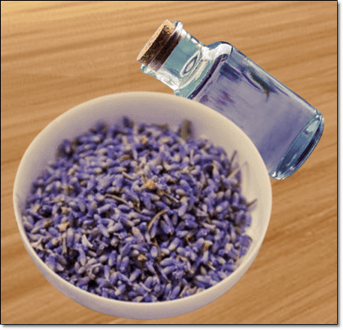 보르네올 많은 식물 라벤더