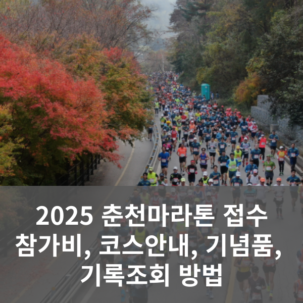 2025 춘천마라톤 대회 정보