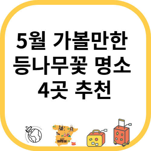 5월 가볼만한 등나무꽃 명소 4곳 추천