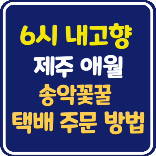 6시 내고향 제주 송악꽃꿀 택배 주문 방법