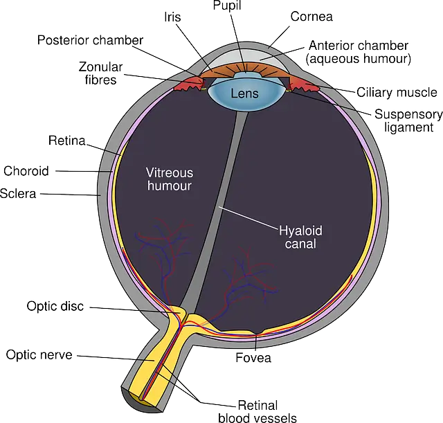 안압 낮추는 법
