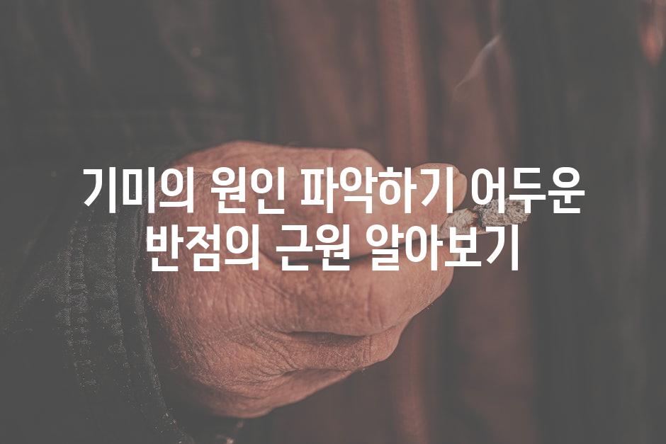 기미의 원인 파악하기 어두운 반점의 근원 알아보기