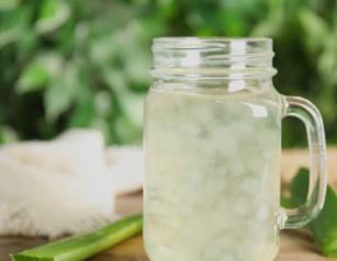 알로에 수딩젤 제품 추천 / 수딩젤 효능 알로에 베라 / 알로에 먹는 방법 키우는 방법