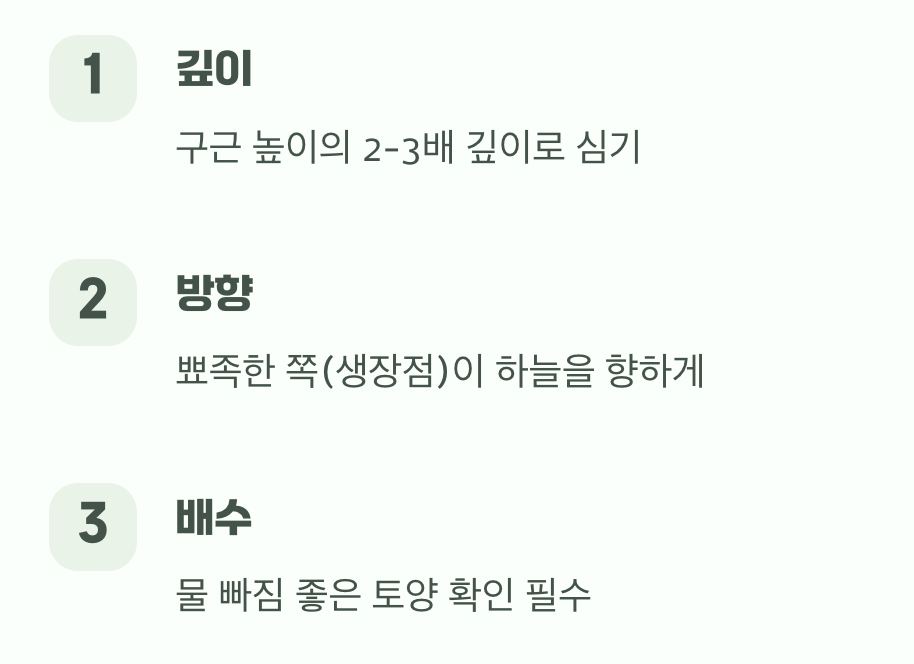 실패 없는 심기, 깊이와 방향