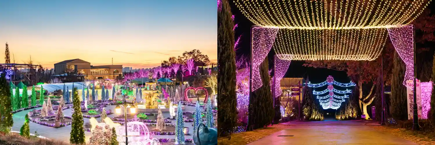 퍼스트가든 빛 축제 사진