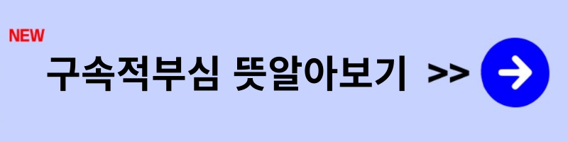 구속적부심