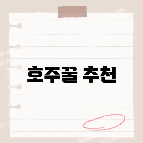 호주꿀 추천, 건강과 맛을 동시에 잡은 최고의 제품은?