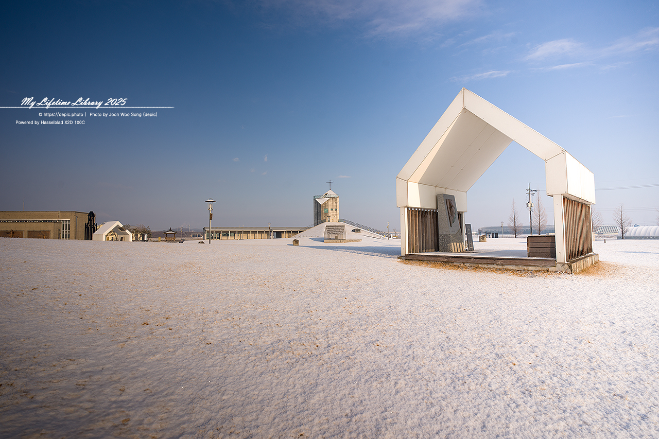 가톨릭 신리성지 성지 당진 눈