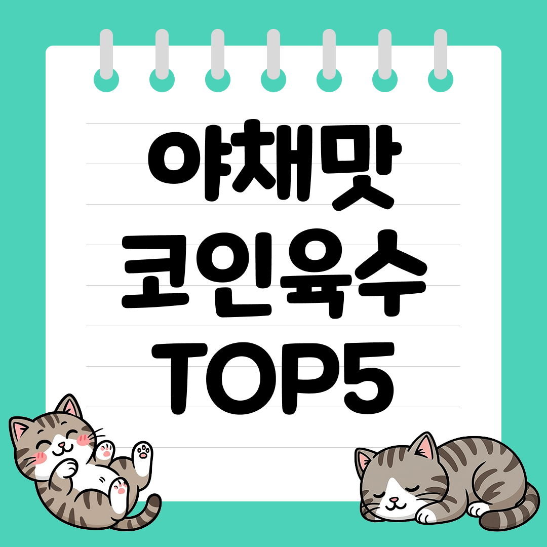 아이 반찬 국물에 딱 맞는 야채맛 코인육수 추천 순위 TOP5