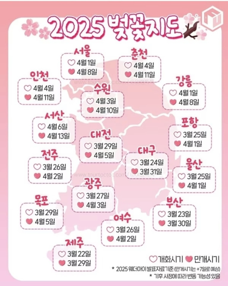 전국 시도별 벚꽃 개화시기