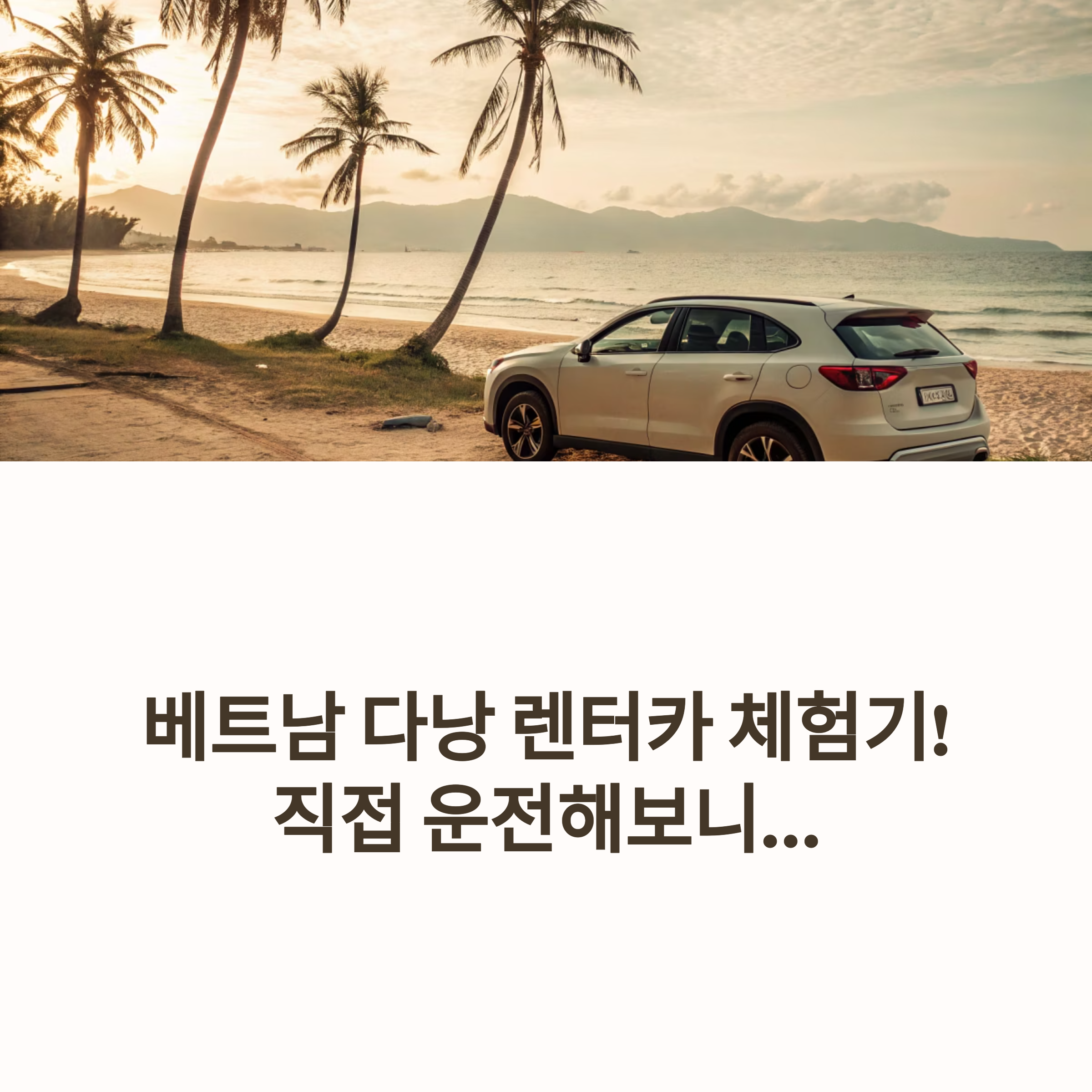 다낭 렌터카 후기