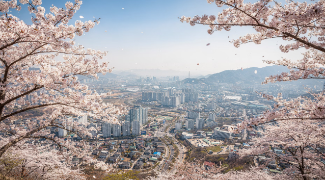 전주 근교 산책&middot;달리기&middot;트레킹 명소 7곳 &amp;#124; 주말 액티비티 완벽 가이드