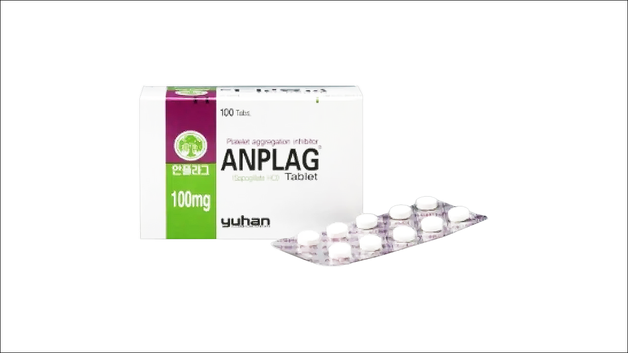 안플라그정 100mg(Anplag Tablet 100mg)