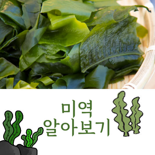 미역