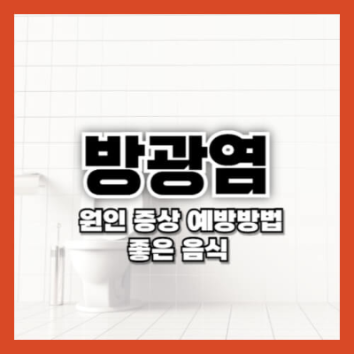 방광염 초기증상
방광염 일반적인 증상
방광염 원인
방광염 치료법
방광염 병원 추천
방광염 비뇨기과
방광염 산부인과
방광염에 좋은 음식
방광염 약 부작용