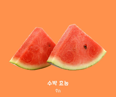수박 효능
