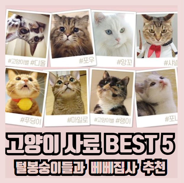 사료