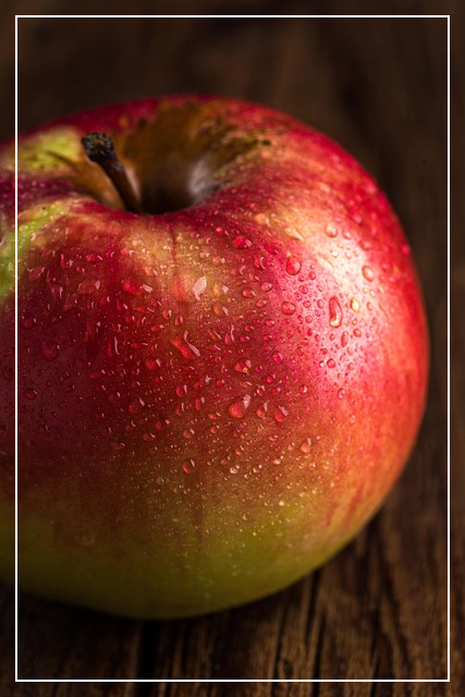 알파CD 추천 제품 고르는 법